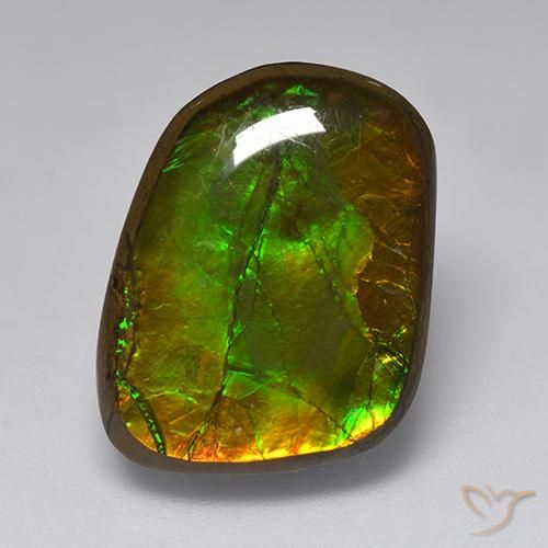 Ammolite Multicolore naturelle Fantaisie, 10.83 ct, Opaque