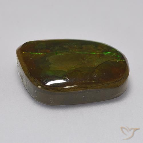 Ammolite Multicolore naturelle Fantaisie, 10.83 ct, Opaque