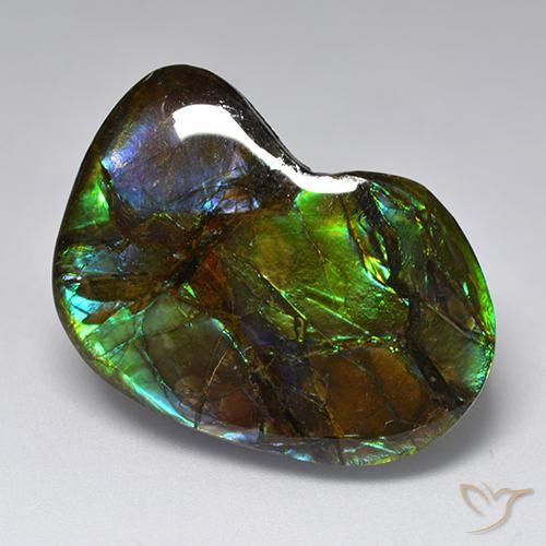 23.10ct Naturel Multicolore Ammolite, Fantaisie, Opaque
