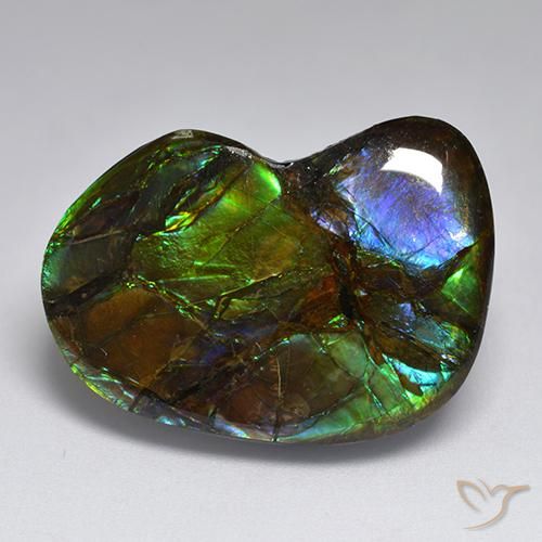Ammolite Multicolore naturelle Fantaisie, 23.10 ct, Opaque