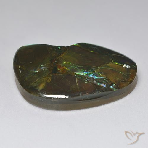 Ammolite Multicolore naturelle Fantaisie, 23.10 ct, Opaque