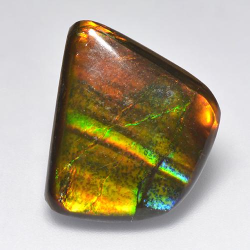 Ammolite Multicolore naturelle Forme fantaisie, 11.08 ct, Opaque