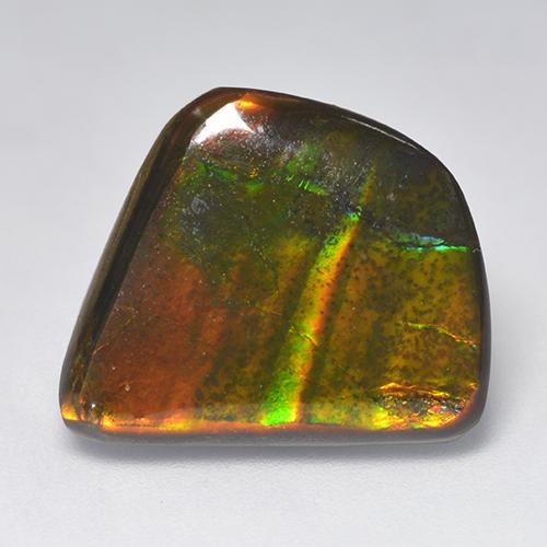 Ammolite Multicolore naturelle Forme fantaisie, 11.08 ct, Opaque