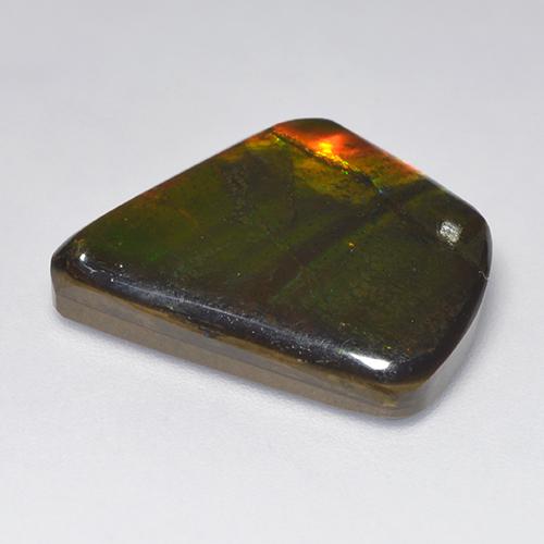 Ammolite Multicolore naturelle Forme fantaisie, 11.08 ct, Opaque