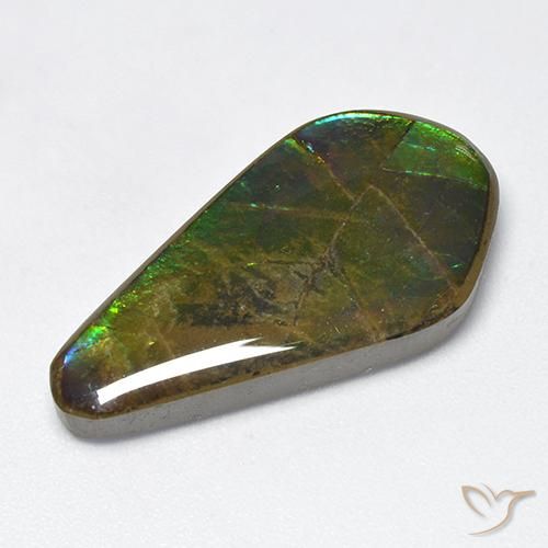 Ammolite Multicolore naturelle Fantaisie, 15.47 ct, Opaque