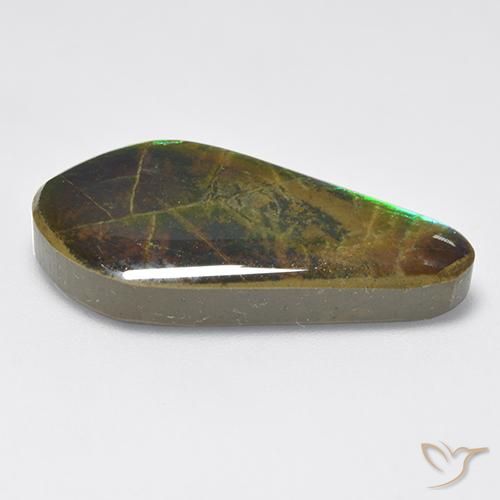 Ammolite Multicolore naturelle Fantaisie, 15.47 ct, Opaque