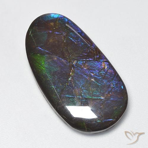 Ammolite Multicolore naturelle Fantaisie, 16.63 ct, Opaque