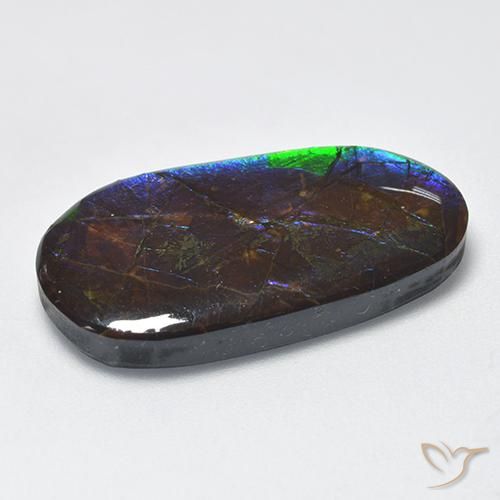 Ammolite Multicolore naturelle Fantaisie, 16.63 ct, Opaque