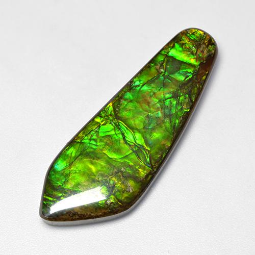 Ammolite multicolore naturelle forme fantaisie, 25,04 ct, opaque