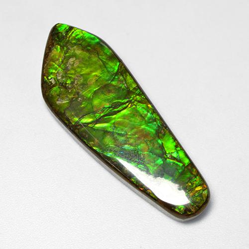 Ammolite multicolore naturelle forme fantaisie, 25,04 ct, opaque