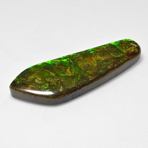 Ammolite multicolore naturelle forme fantaisie, 25,04 ct, opaque