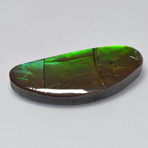 Ammolite Multicolore naturelle Forme fantaisie, 12.39 ct, Opaque