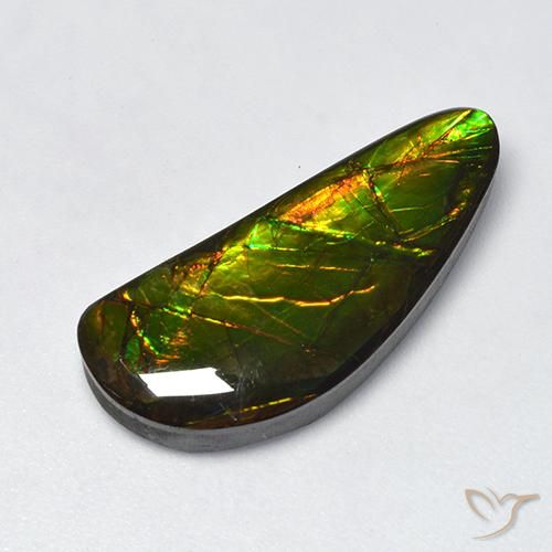 10.60ct Naturel Multicolore Ammolite, Fantaisie, Opaque