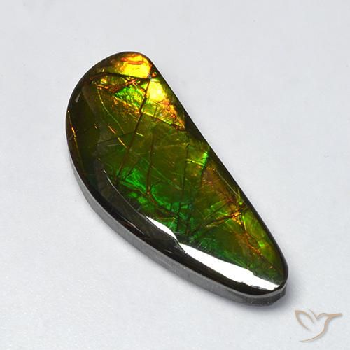 Ammolite Multicolore naturelle Fantaisie, 10.60 ct, Opaque