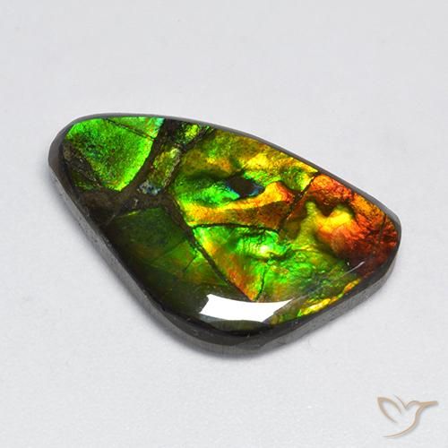 Ammolite Multicolore naturelle Fantaisie, 11.50 ct, Opaque