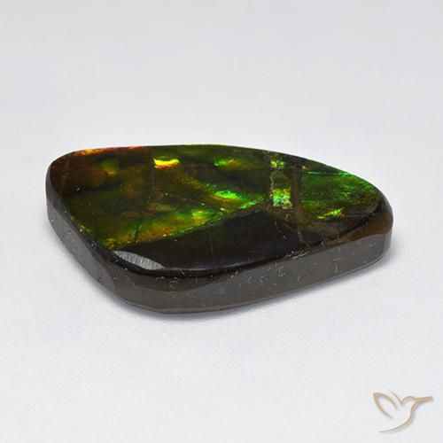 Ammolite Multicolore naturelle Fantaisie, 11.50 ct, Opaque