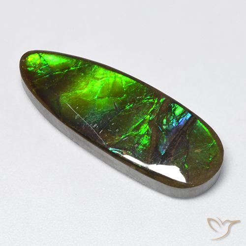 12.78ct Naturel Multicolore Ammolite, Fantaisie, Opaque