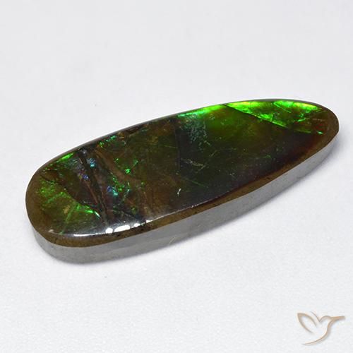 Ammolite Multicolore naturelle Fantaisie, 12.78 ct, Opaque