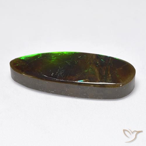 Ammolite Multicolore naturelle Fantaisie, 12.78 ct, Opaque