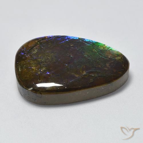 Ammolite Multicolore naturelle Fantaisie, 17.96 ct, Opaque