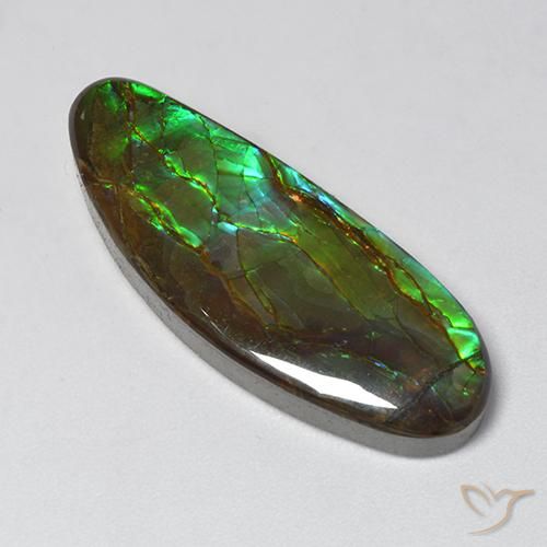 18.94ct Naturel Multicolore Ammolite, Fantaisie, Opaque