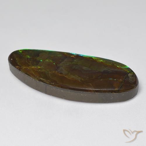 Ammolite Multicolore naturelle Fantaisie, 18.94 ct, Opaque