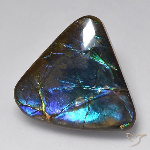 Ammolite Multicolore naturelle Fantaisie, 15.09 ct, Opaque