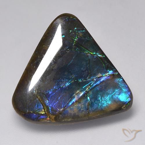 Ammolite Multicolore naturelle Fantaisie, 15.09 ct, Opaque