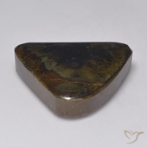 Ammolite Multicolore naturelle Fantaisie, 15.09 ct, Opaque