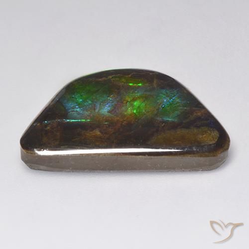 Ammolite Multicolore naturelle Fantaisie, 15.86 ct, Opaque