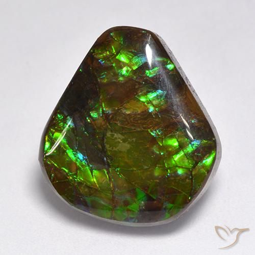 Ammolite Multicolore naturelle Fantaisie, 15.50 ct, Opaque