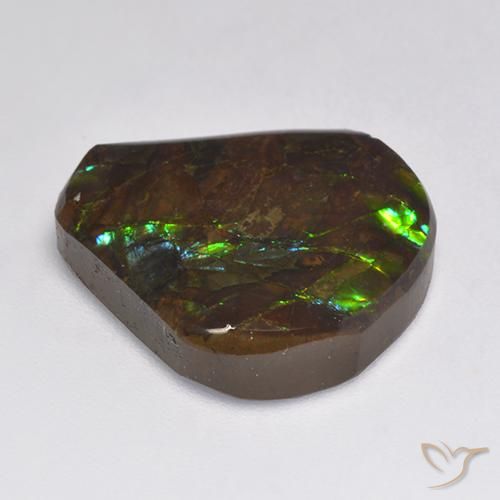 Ammolite Multicolore naturelle Fantaisie, 15.50 ct, Opaque