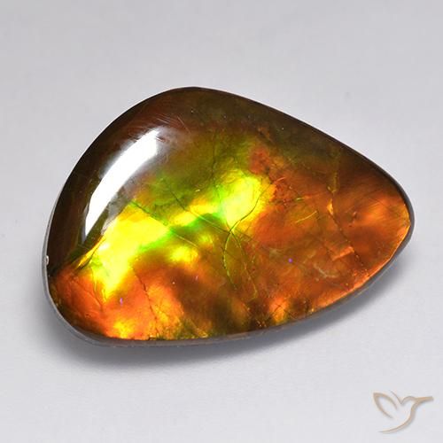 20.30ct Naturel Multicolore Ammolite, Fantaisie, Opaque