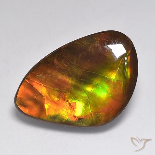 Ammolite Multicolore naturelle Fantaisie, 20.30 ct, Opaque