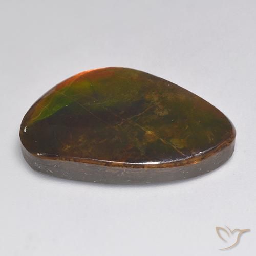 Ammolite Multicolore naturelle Fantaisie, 20.30 ct, Opaque