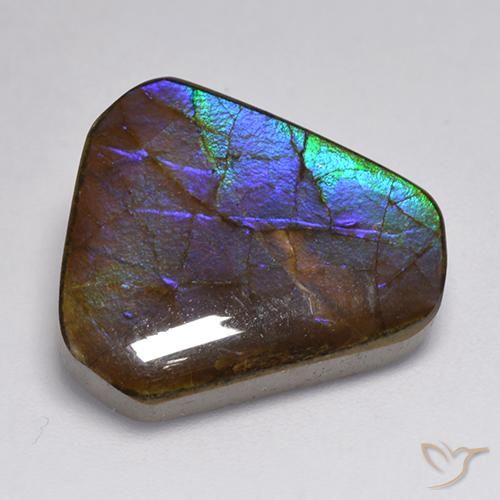 Ammolite Multicolore naturelle Fantaisie, 13.95 ct, Opaque