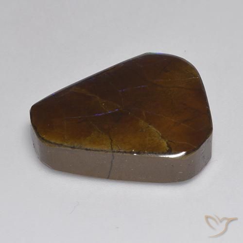 Ammolite Multicolore naturelle Fantaisie, 13.95 ct, Opaque