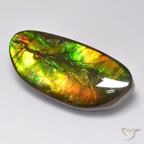 Ammolite Multicolore naturelle Fantaisie, 11.62 ct, Opaque