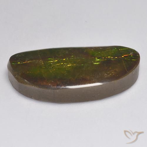 Ammolite Multicolore naturelle Fantaisie, 11.62 ct, Opaque