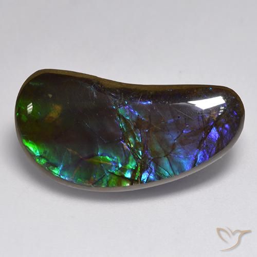 Ammolite Multicolore naturelle Fantaisie, 14.55 ct, Opaque