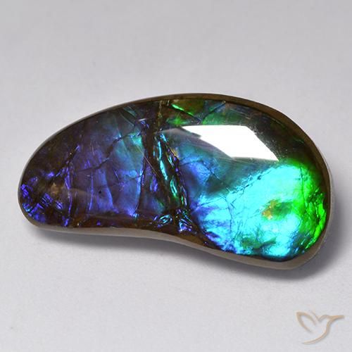 Ammolite Multicolore naturelle Fantaisie, 14.55 ct, Opaque