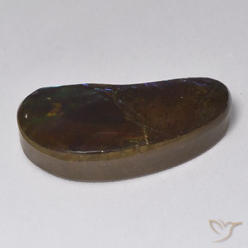 Ammolite Multicolore naturelle Fantaisie, 14.55 ct, Opaque