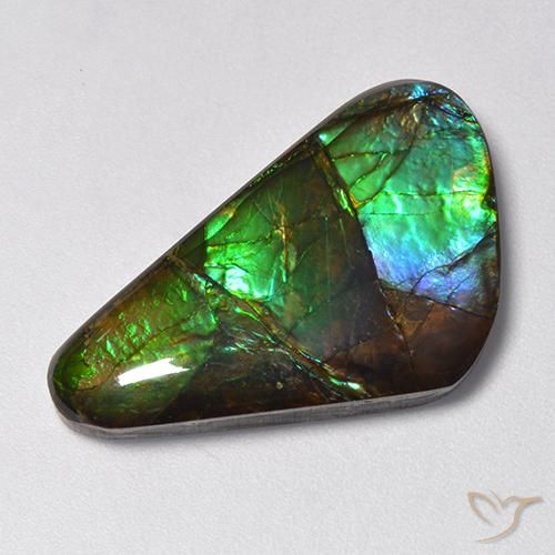 13.85ct Naturel Multicolore Ammolite, Fantaisie, Opaque