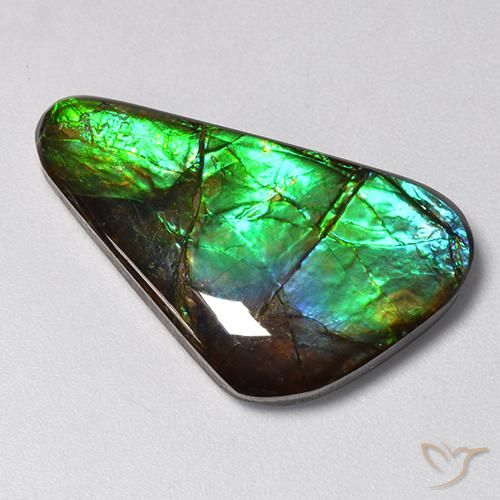 Ammolite Multicolore naturelle Fantaisie, 13.85 ct, Opaque