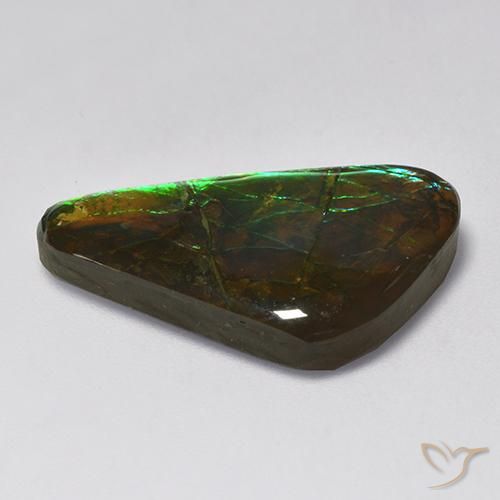 Ammolite Multicolore naturelle Fantaisie, 13.85 ct, Opaque