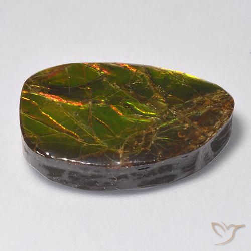 Ammolite Multicolore naturelle Fantaisie, 11.13 ct, Opaque