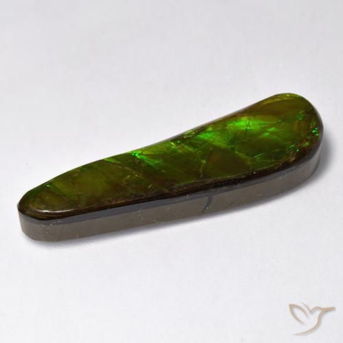 Ammolite Multicolore naturelle Fantaisie, 14.88 ct, Opaque