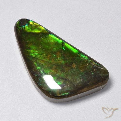 Ammolite Multicolore naturelle Fantaisie, 13.28 ct, Opaque