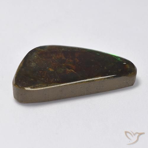 Ammolite Multicolore naturelle Fantaisie, 13.28 ct, Opaque