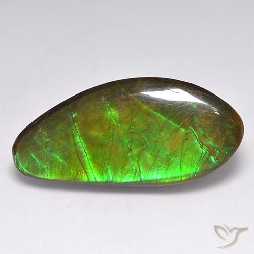 Ammolite Multicolore naturelle Fantaisie, 15.77 ct, Opaque
